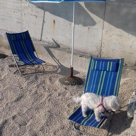 Apartament By The Sea Arbanija, Ciovo - 16117